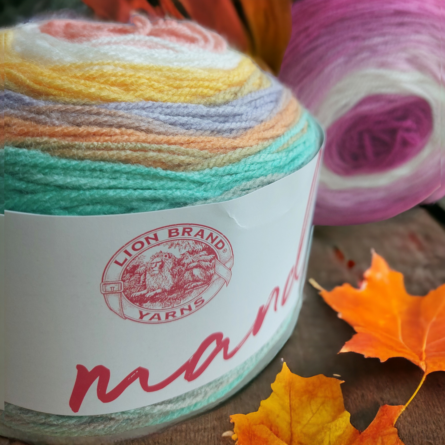 Lionbrand Mandala Acrylic Yarn