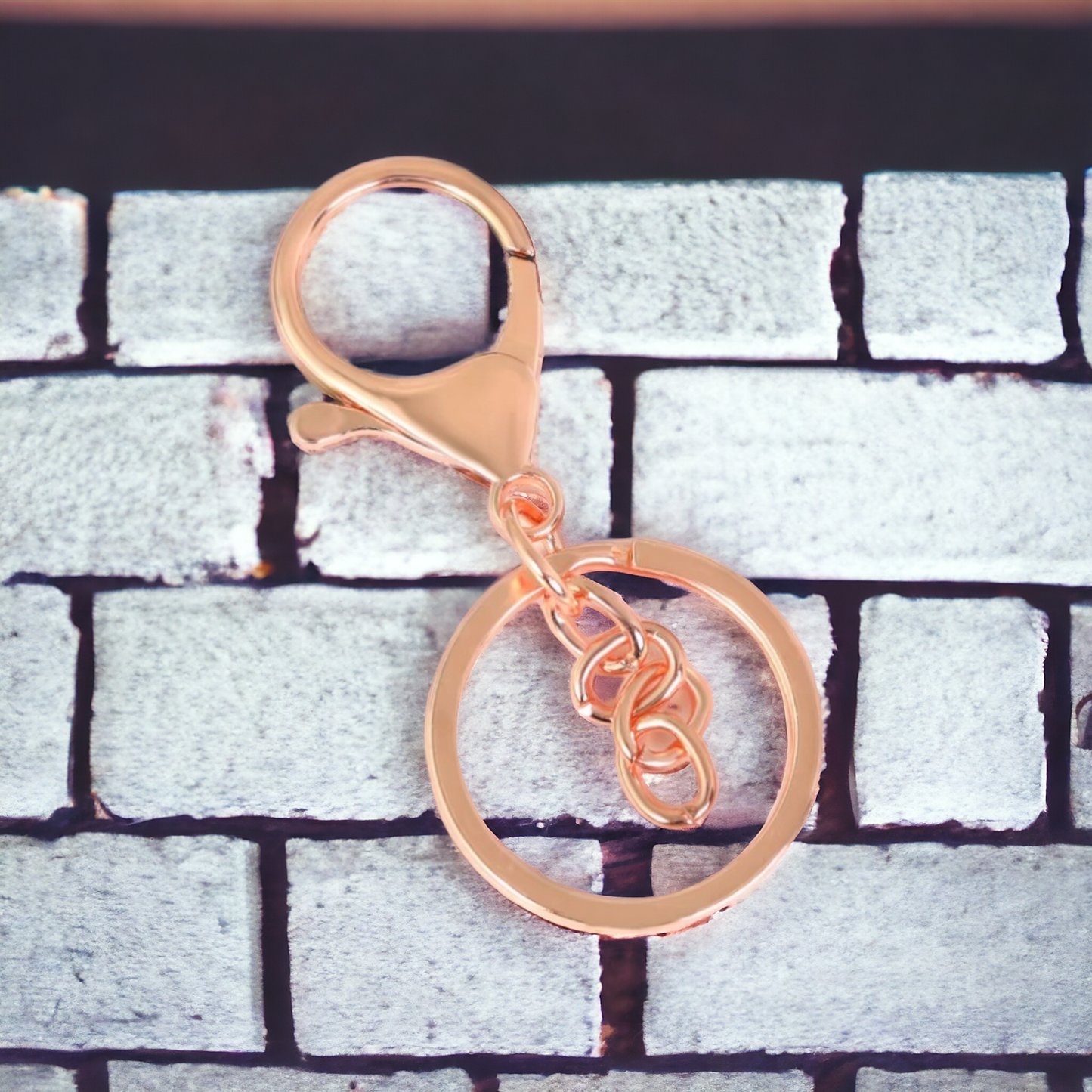 Lobster Clasp & keyring ( 10 pcs )